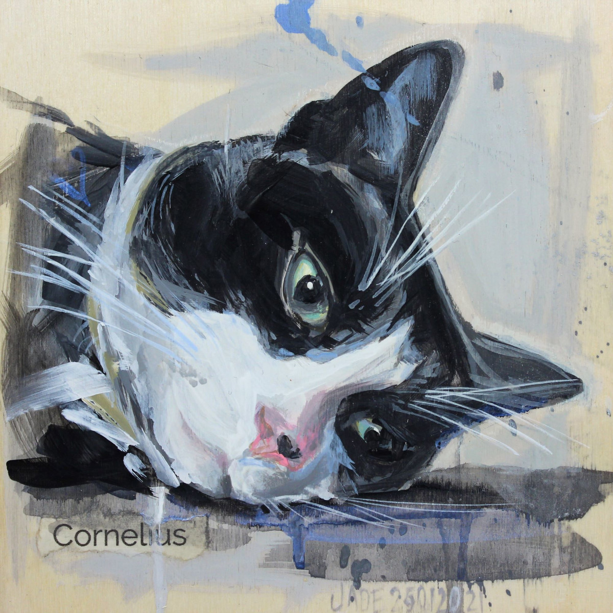 Framed Abstract Pet by Jade Brown