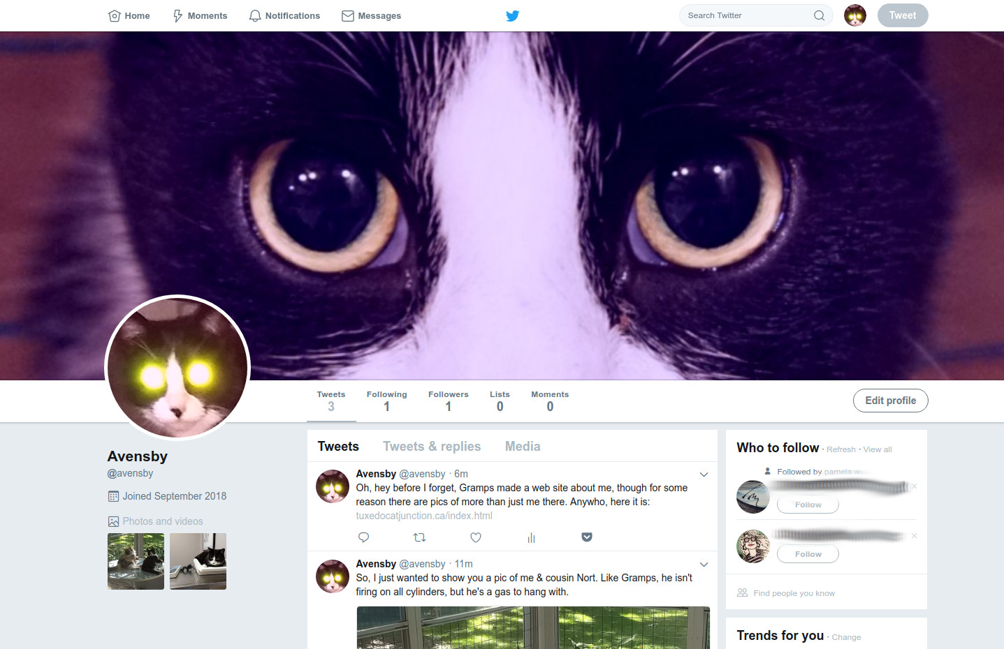 Avensby's Twitter Page
