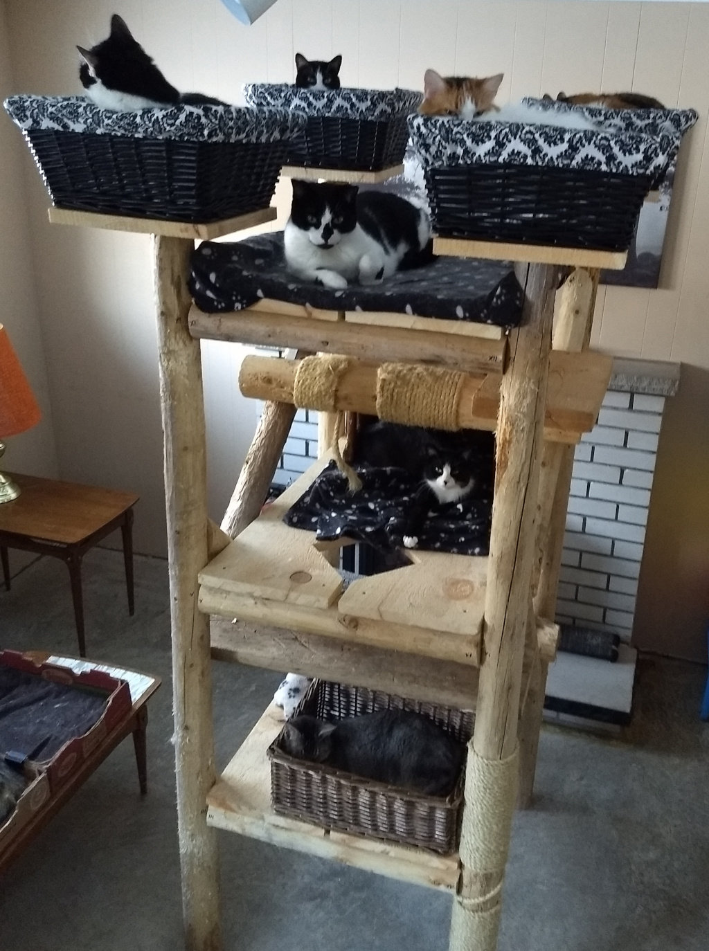 Homemade cedar cat tree with wicker baskets