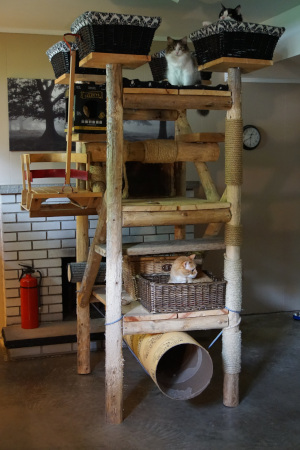 Picture of home-made cat tree