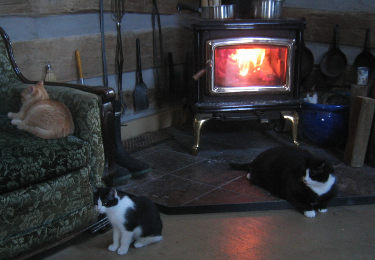 Cats by woodstove
