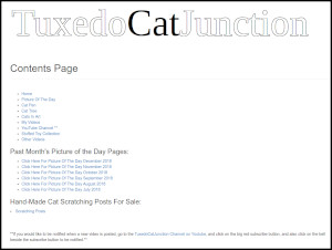 Screen shot of cat video on Youtube