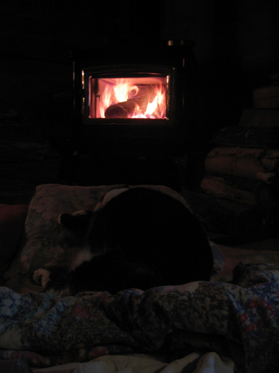 Tuxedo cat sleeping in front of wood stove