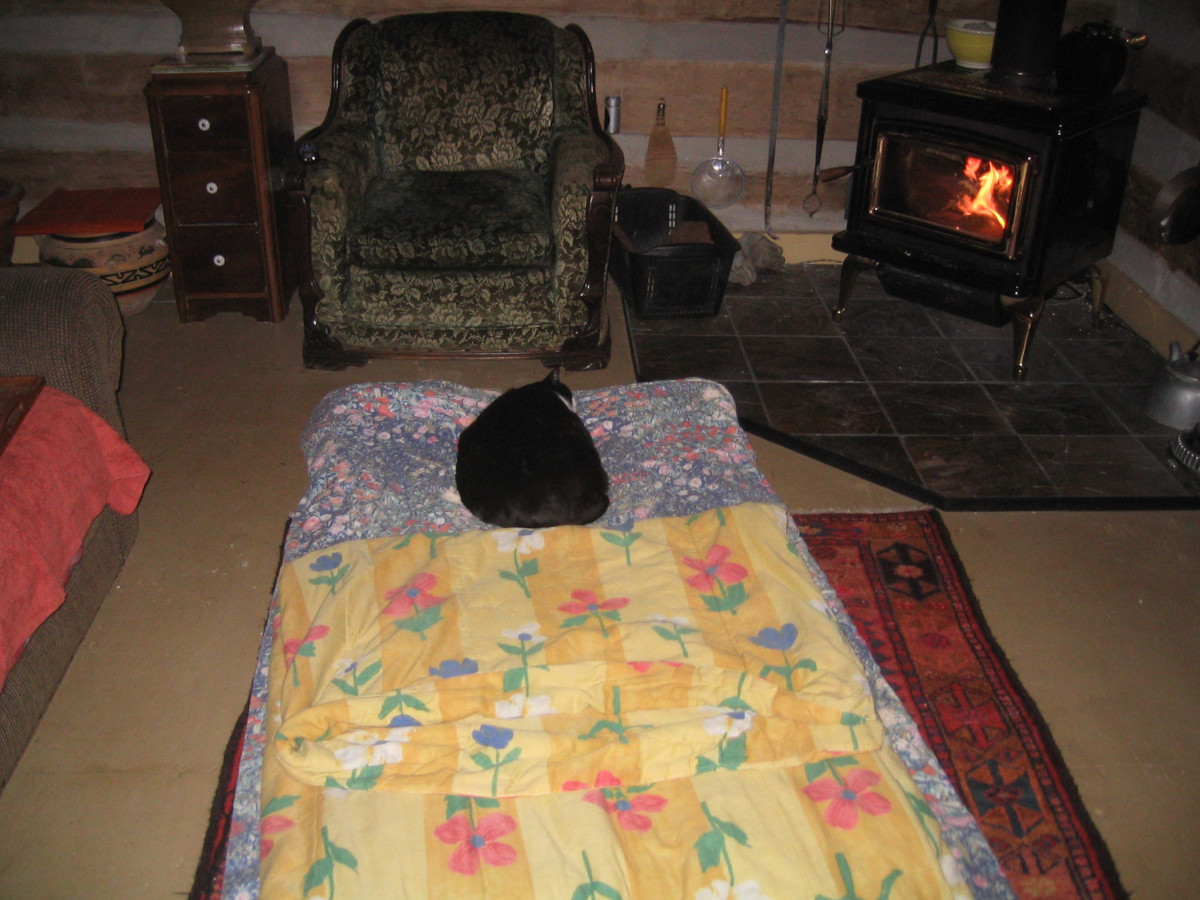 tuxedo cat by fire
