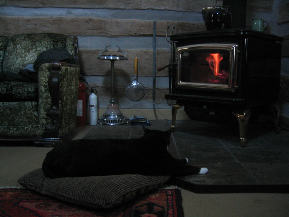 Tuxedo cat by fire