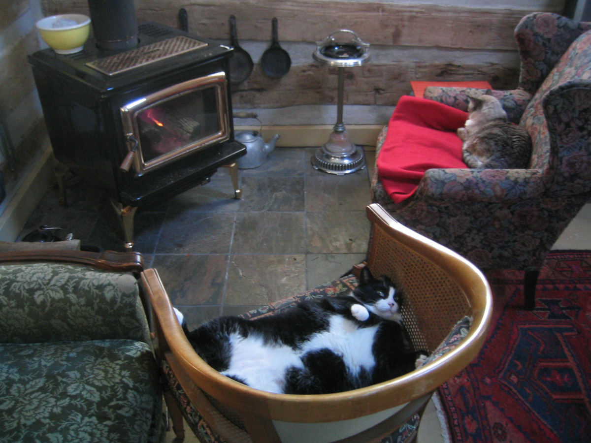 cats on chairs by woodstove