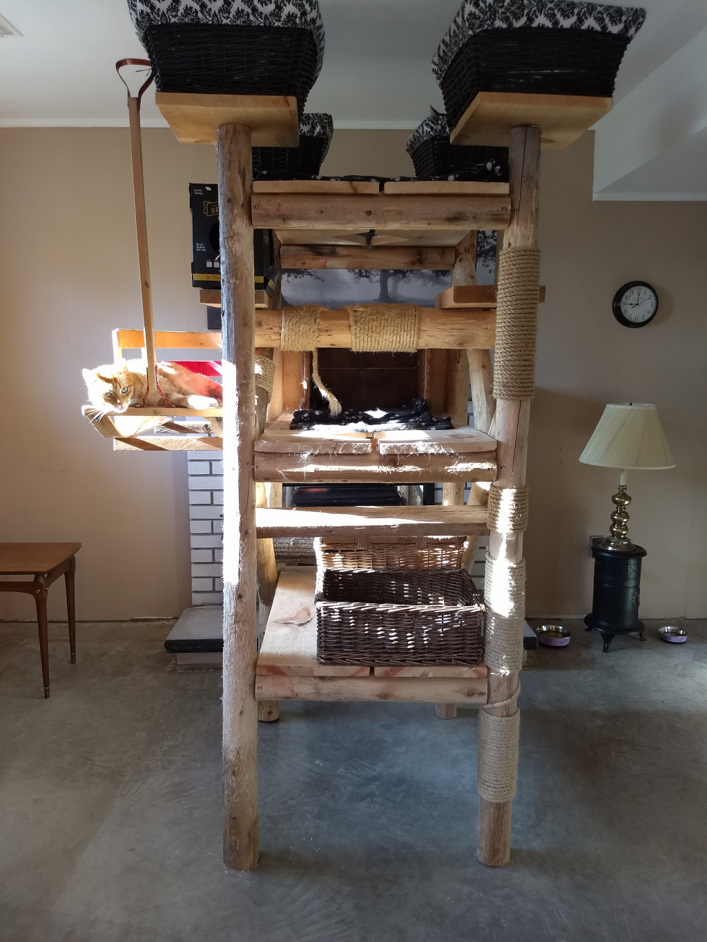 Orange tabby on sleigh on cat tree