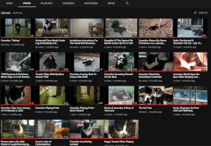 Screen shot of Youtube channel