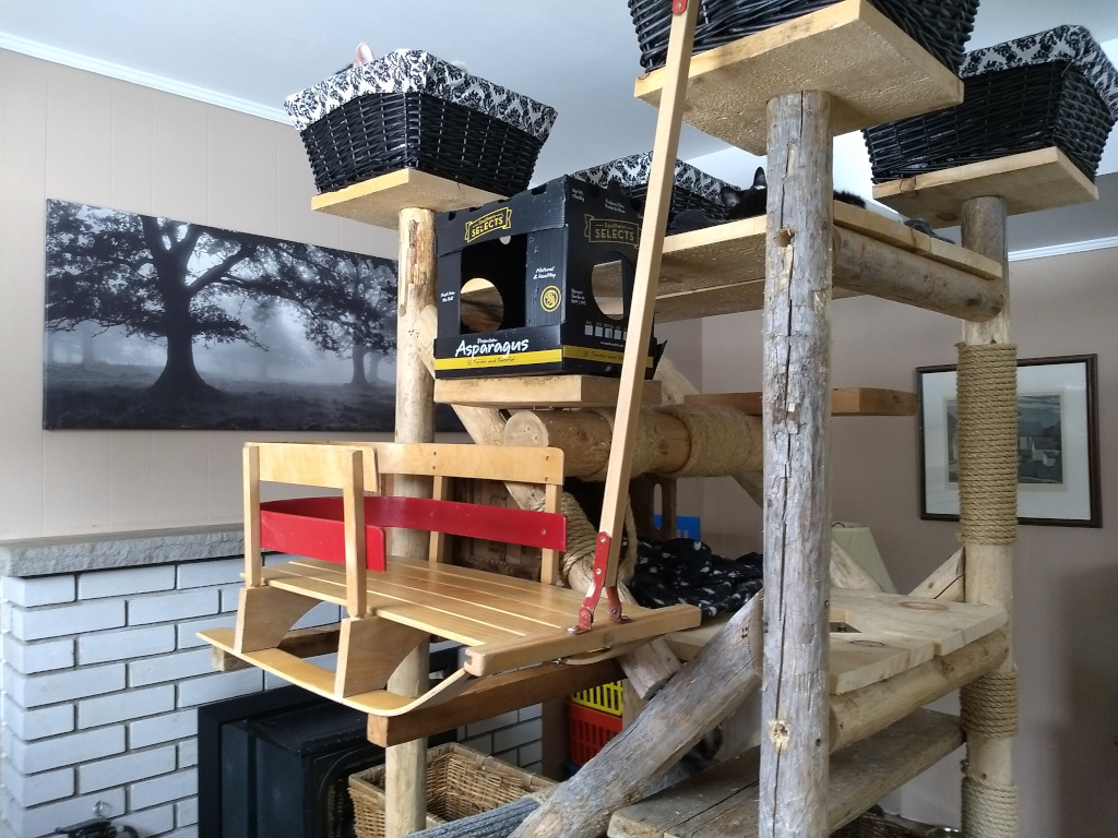 Sleigh on cat tree
