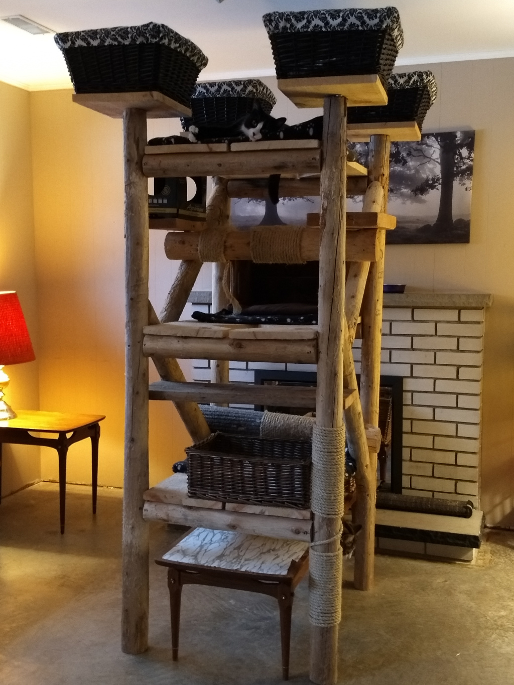 cat tree with cats