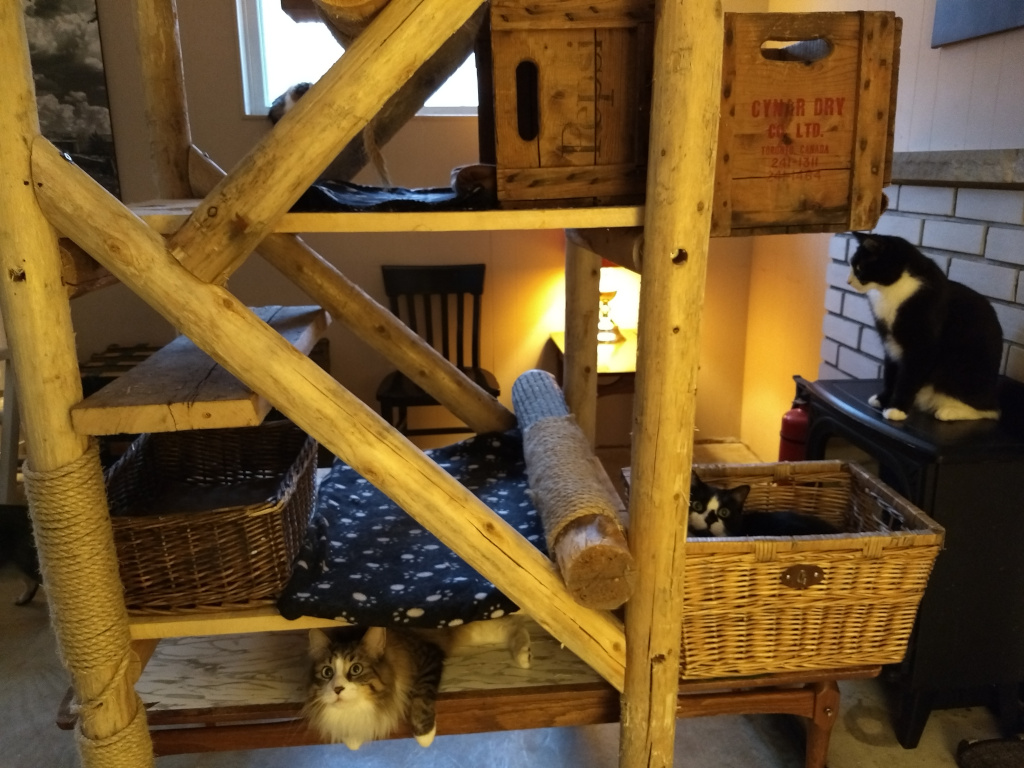 homemade cat tree