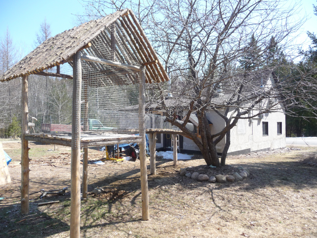 unfinished cat pen cedar