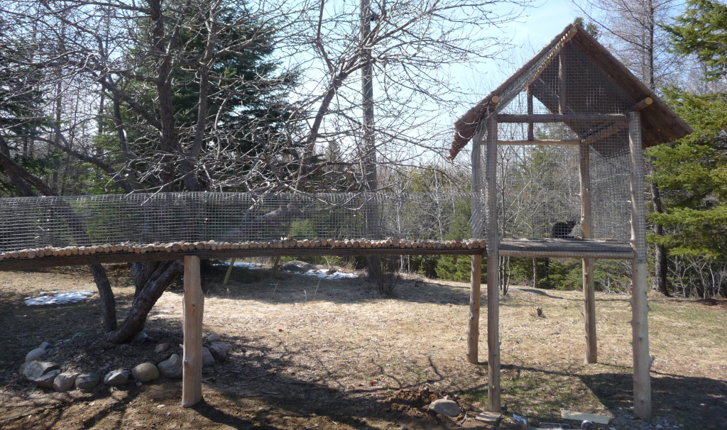 homemade cedar cat pen outdoors