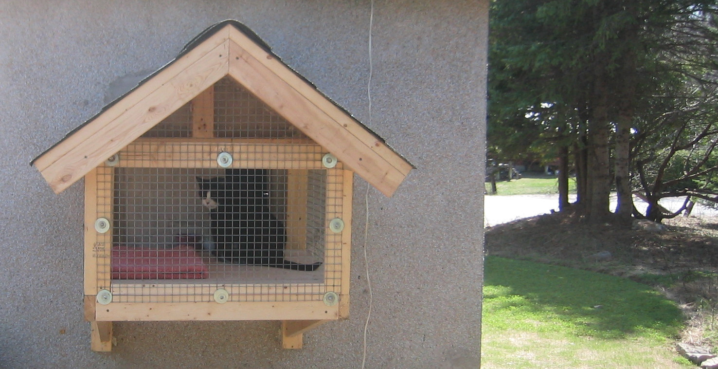 finished cat pen