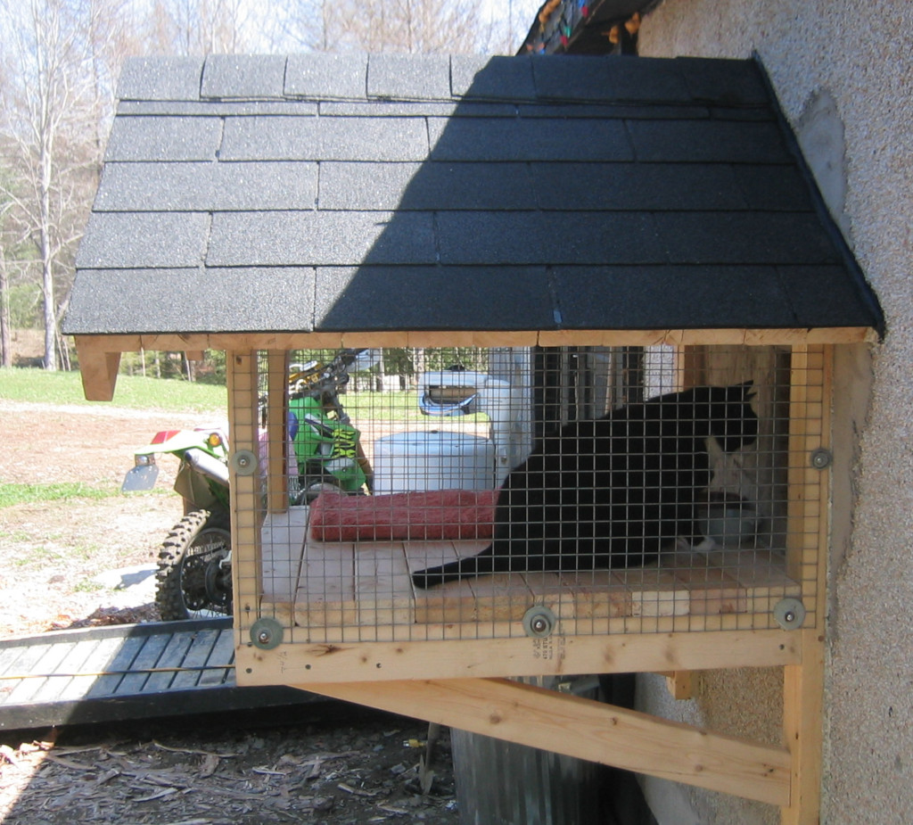shingled outdoor cat pen