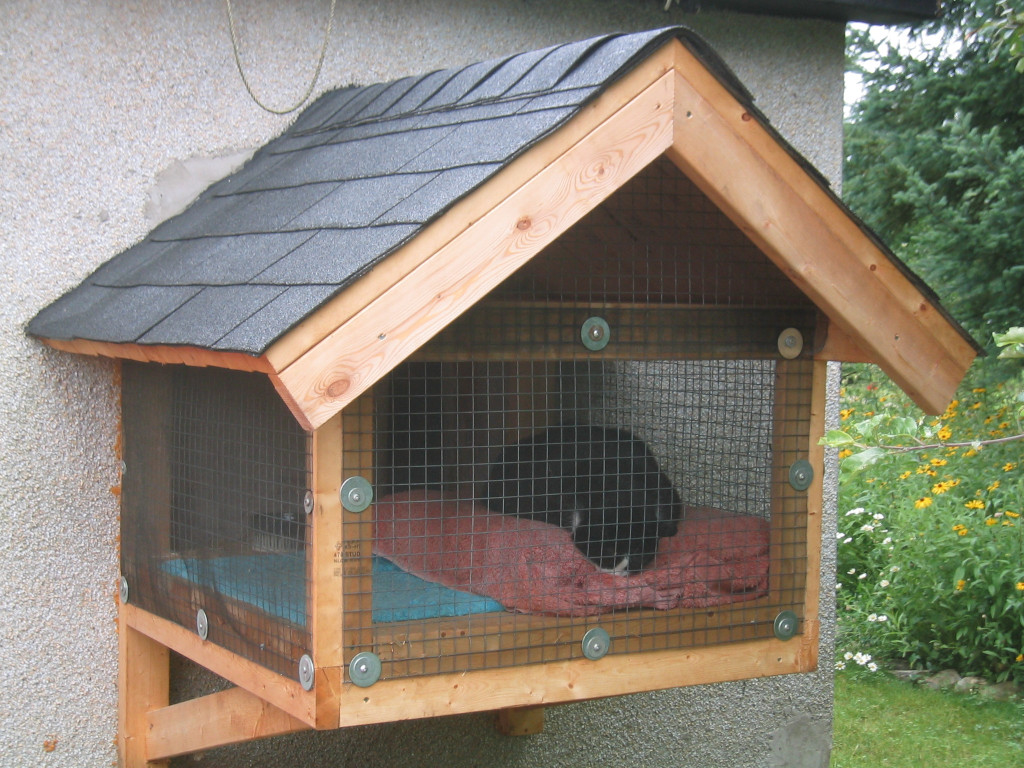 tuxedo cat in outdoor cat pen sleeping