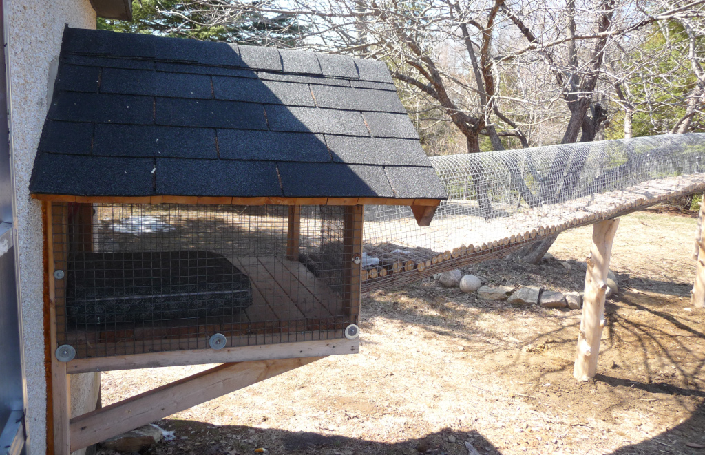 outdoor cat tunnel to pen